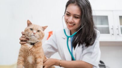 API Veterinário API Veterinário