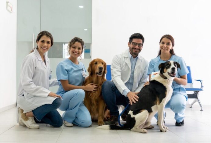 MEDICINA VETERINÁRIA NO BRASIL