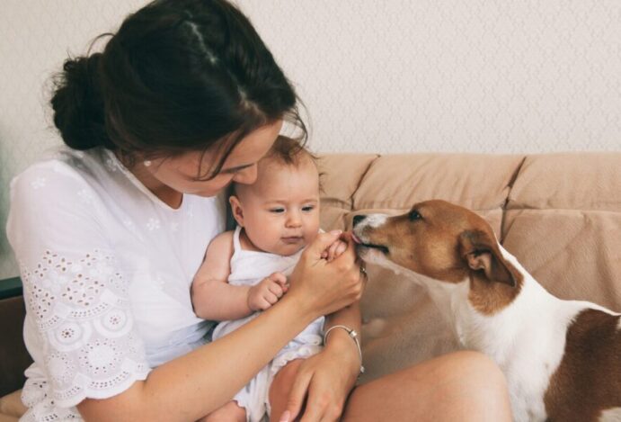 criança com pet