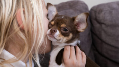 Raças de cachorro que adoram ficar no colo