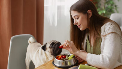 Fibra alimentar ajuda na saúde intestinal de cães