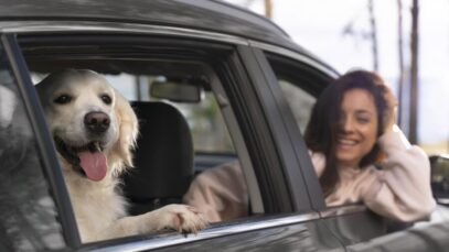 viajar com pets