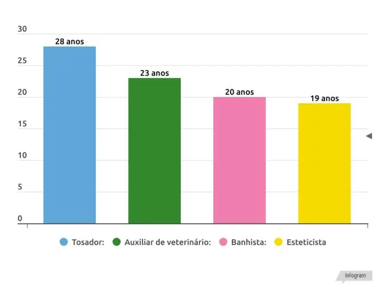 PROFISSÕES NO SETOR PET PROFISSÕES NO SETOR PET