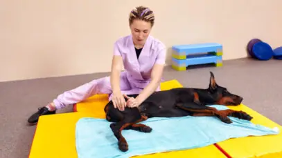 Dia do Veterinário Fisiatra
