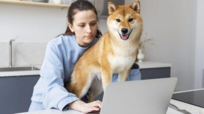 Estudo aponta as 7 melhores farmácias online para pets