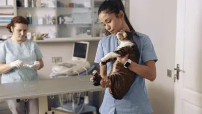 REAJUSTE SALARIAL DOS VETERINÁRIOS