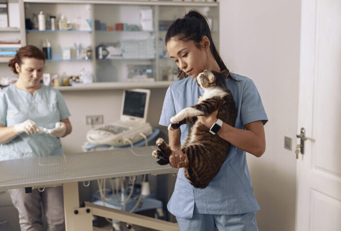 REAJUSTE SALARIAL DOS VETERINÁRIOS