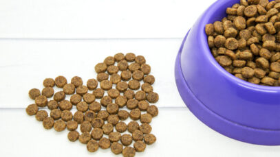BRAZILIAN PET FOODS BRAZILIAN PET FOODS