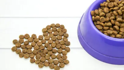 BRAZILIAN PET FOODS
