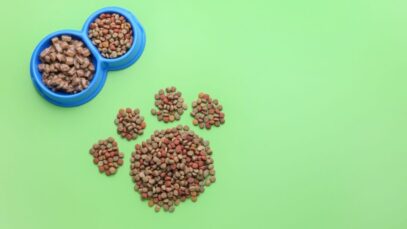 PremieRpet