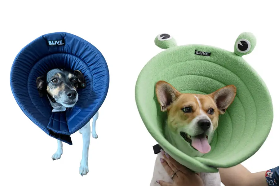 soluções clínicas para cães