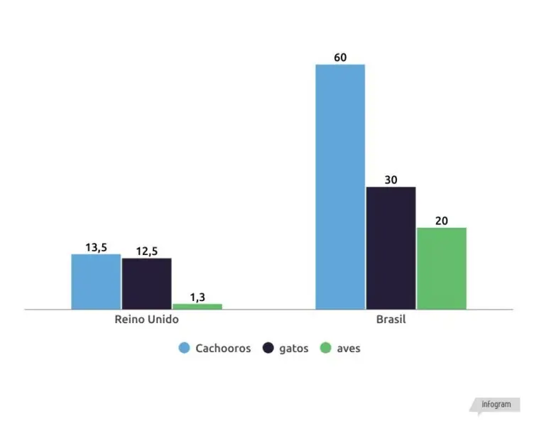 INDÚSTRIA PET NO REINO UNIDO INDÚSTRIA PET NO REINO UNIDO