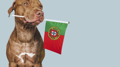 MERCADO PET EM PORTUGAL