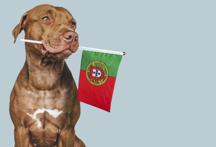 MERCADO PET EM PORTUGAL