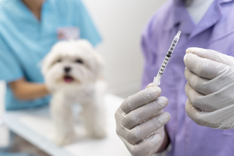 ESTABELECIMENTOS DE SERVIÇOS VETERINÁRIOS