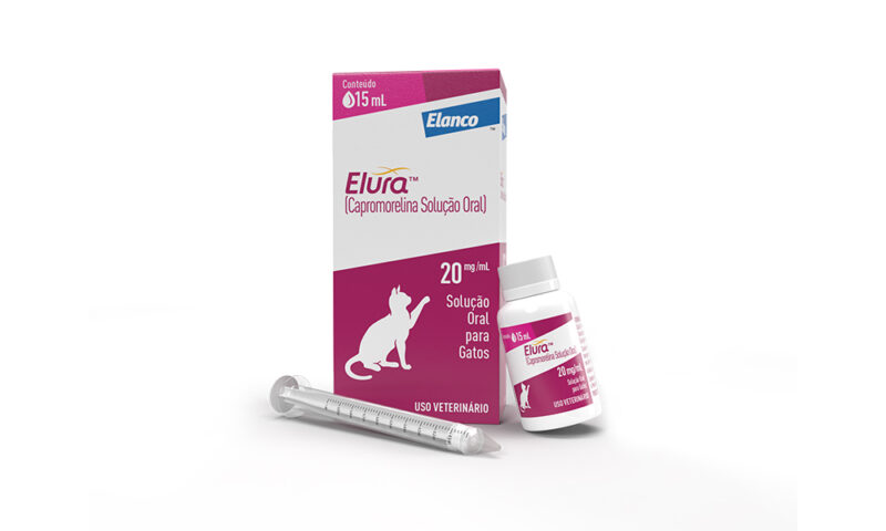 Medicamento para tratar sintomas de DRC em gatos 1 DRC em gatos