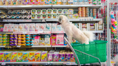 mercado pet de minas gerais