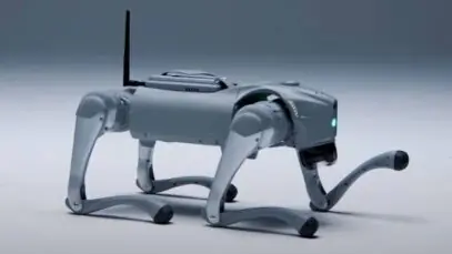 cao-robo