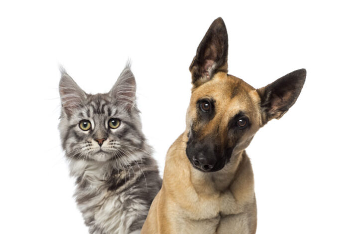 Global Pet Expo 2025
