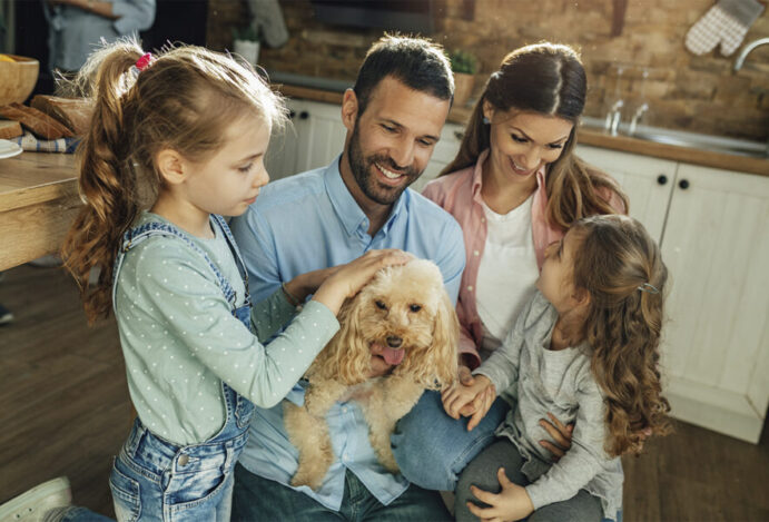 PAÍS PET FRIENDLY