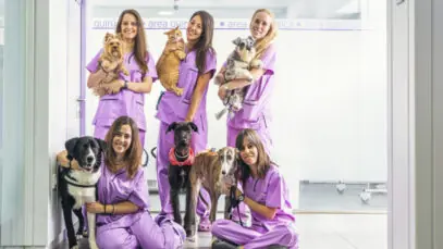 mulheres-veterinarias