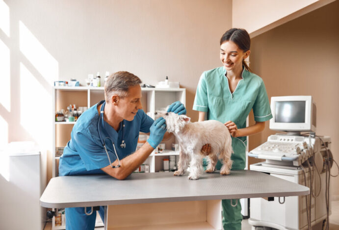 Dia do Auxiliar Veterinário