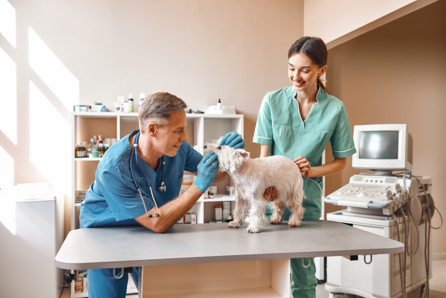 Dia do Auxiliar Veterinário