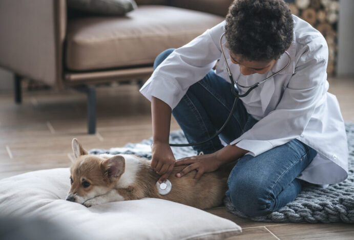 Atendimento veterinário domiciliar