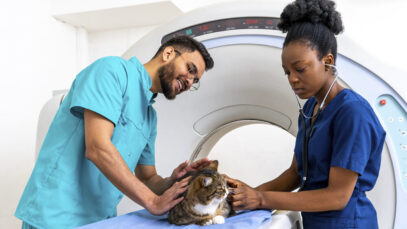 Empregos para veterinários