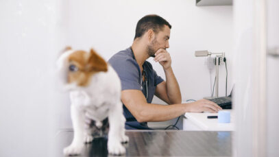 PEJOTIZAÇÃO NA VETERINÁRIA Pejotização, veterinária, medicina veterinária
