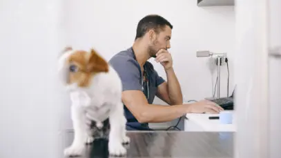 PEJOTIZAÇÃO NA VETERINÁRIA Pejotização, veterinária, medicina veterinária