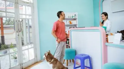 Gestão da clínica veterinária