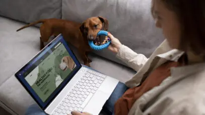 Tráfego online de produtos pet