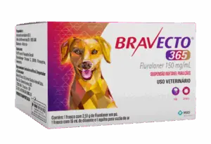 BRAVECTOBravecto 365, MSD Saúde Animal, veterinários, saúde animal