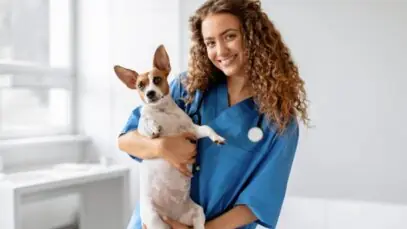 CFMV, Cursos de veterinária, medicina veterinária