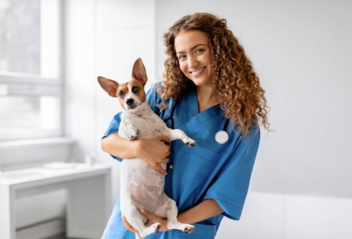 CFMV, Cursos de veterinária, medicina veterinária