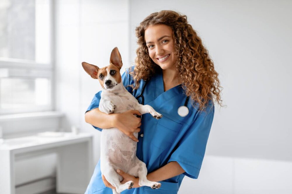 CFMV,Cursos de veterinária, medicina veterinária
