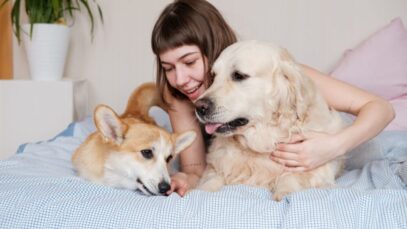 Maioria dos tutores prefere passar tempo com pets para aliviar o estresse