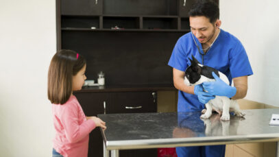 PEJOTIZAÇÃO NA ÁREA VETERINÁRIA Veterinária, pejotização, clínicas, hospitais