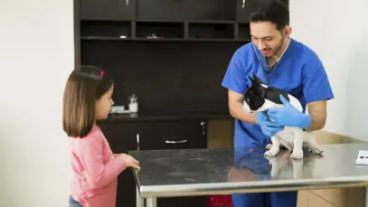 PEJOTIZAÇÃO NA ÁREA VETERINÁRIA Veterinária, pejotização, clínicas, hospitais