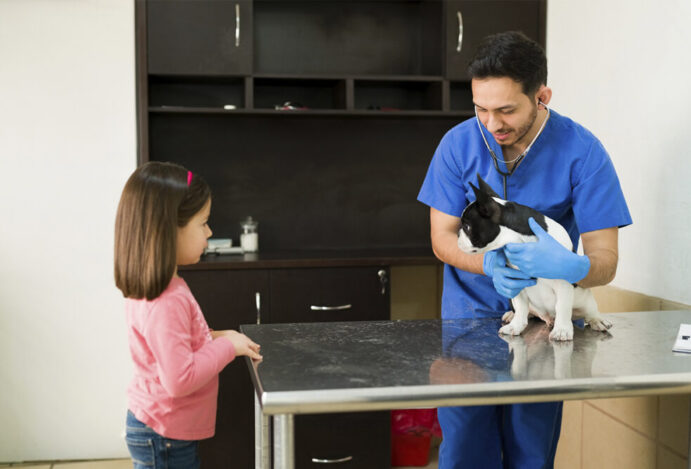 PEJOTIZAÇÃO NA ÁREA VETERINÁRIA Veterinária, pejotização, clínicas, hospitais