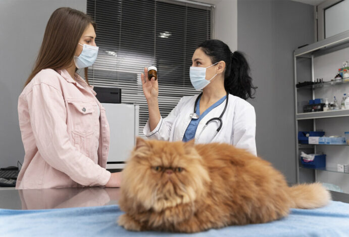 Imagem relacionada a: Número de estabelecimentos veterinários no Brasil