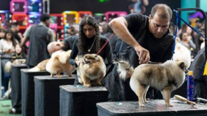PET SOUTH AMERICA, Setor pet, mercado pet