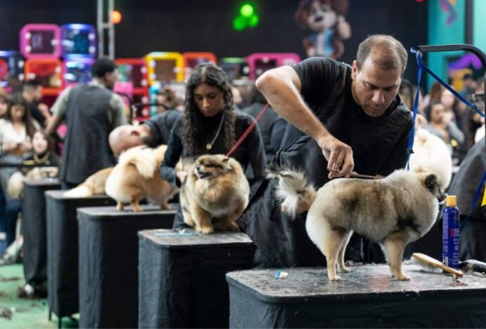 PET SOUTH AMERICA, Setor pet, mercado pet