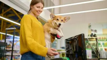 transformação do mercado pet