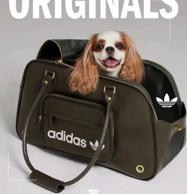 adidas