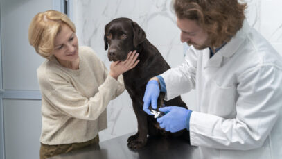 medico-de-tiro-medio-verificando-cachorro-fofo Estudo indica falhas na comunicação de despesas veterinárias