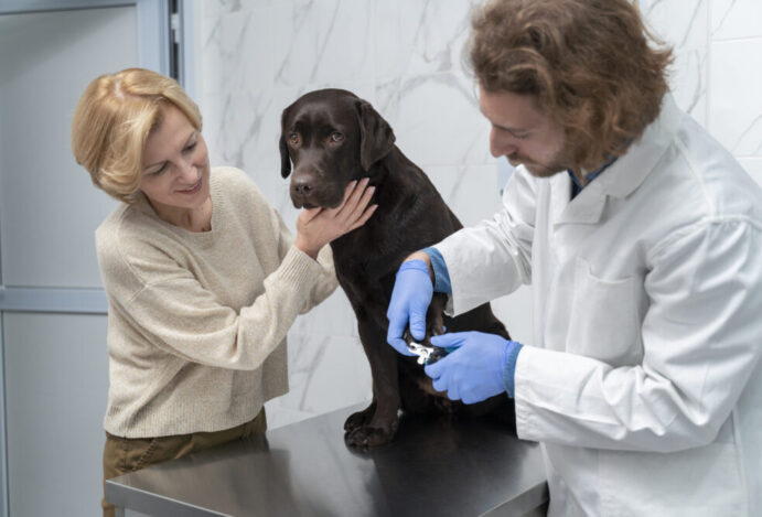 Imagem relacionada a: Estudo indica falhas na comunicação de despesas veterinárias