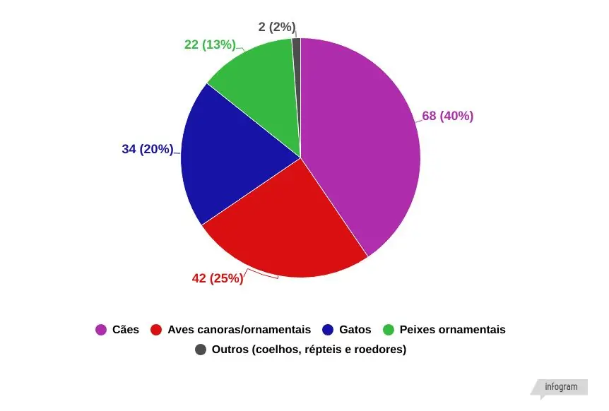 modelo-panorama-petvet