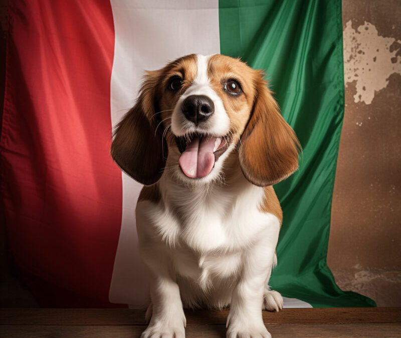 um-cao-com-uma-bandeira-verde-e-branca-atras-dele-buon-ferragostos-fundo